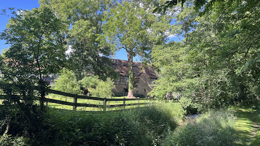 Schlosspark Lodersleben - Visual