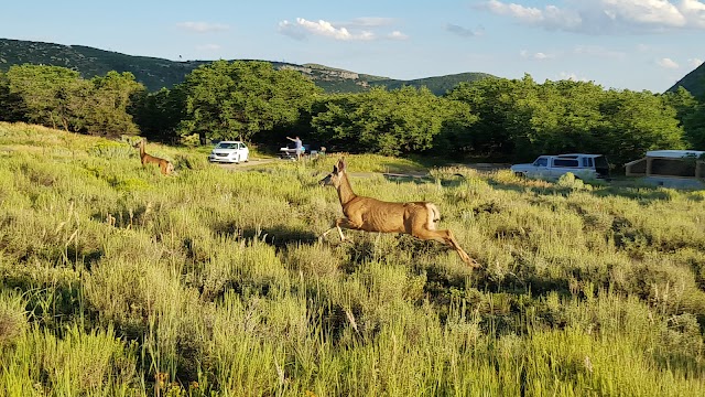 Mesa Verde National Park