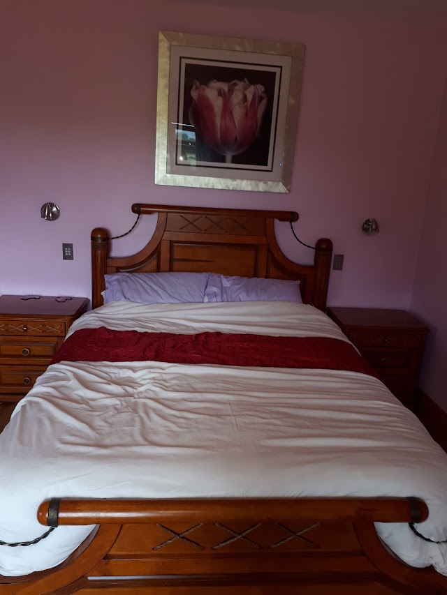 National Museum of Ireland - Decorative Arts and History