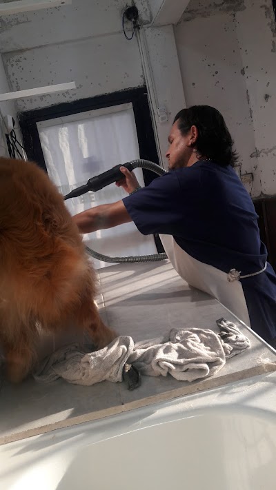 Photos of Consultorio Veterinario San Luis