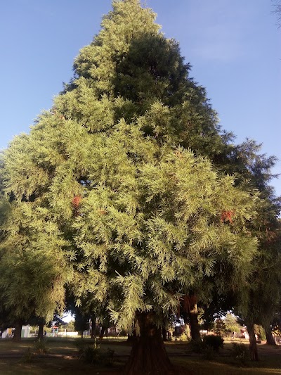 Photos of Plaza de Barros Aranaa