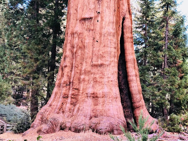 Sequoia National Park - Foothills Visitor Center