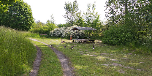 FKK-Insel Sternberg - Thumbnail