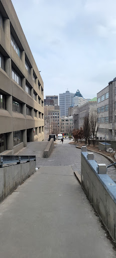 L.M. Trottier Building - Visual