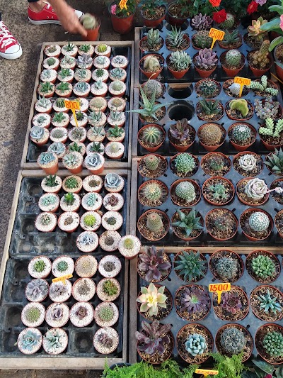 Photos of Plaza Ferias