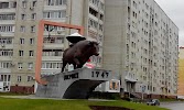 Фотография Бык, Энгельс, Россия