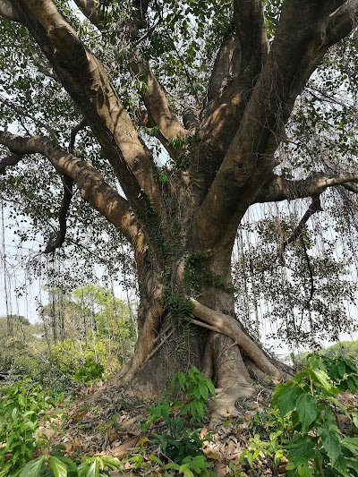 Photos of নাইশ্যা টিলা( কবরস্থান)-Grave Yard