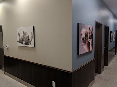 Photo of Cadence Animal Hospital Del propietario