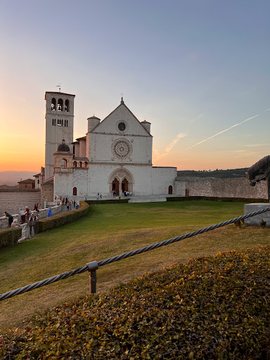 Aurea Assisi - Visual