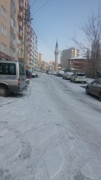 park