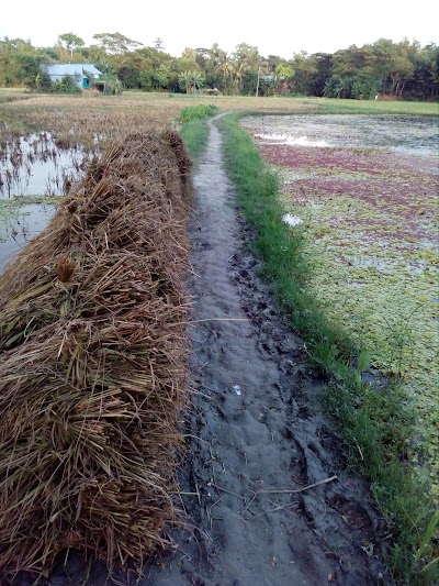 Photos of Maheshpur High School