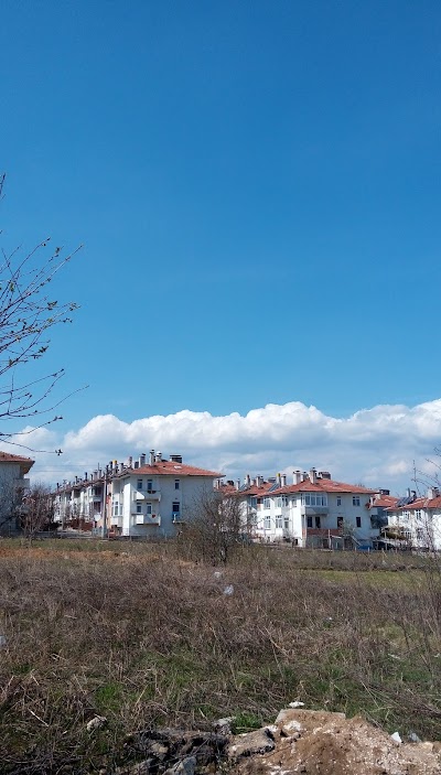 Yenişehir Sitesi