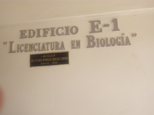 ICBI Edificio E - Visual