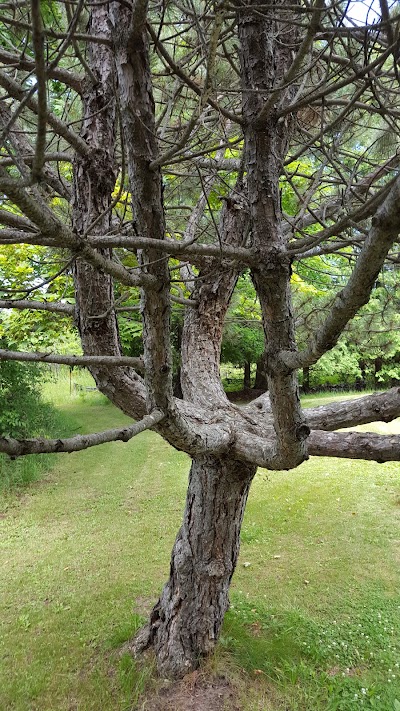 Photos of Johnson's Park
