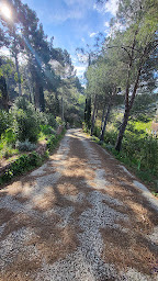 Photo n°24 de Hoodus à Canet (Paysagiste)