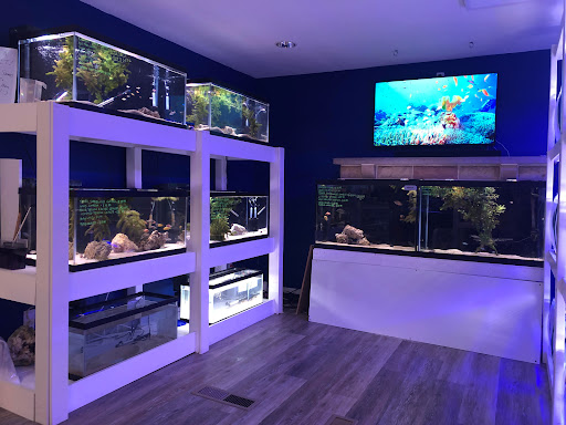 SharkBait LLC - Visual