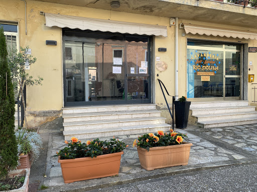Nuova Immagine Di Laura Alderigi