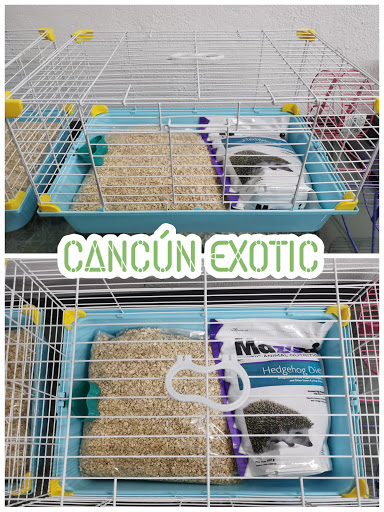 Cancun Exotic - Thumbnail