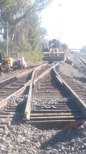 Servicio Express del Bajio S.A. de C.V. - Thumbnail
