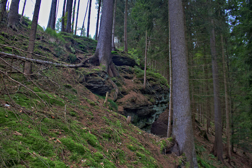 Lutherbrunnen - Thumbnail