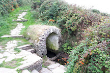 St Non's Chapel and Holy Well, St. Davids, United Kingdom