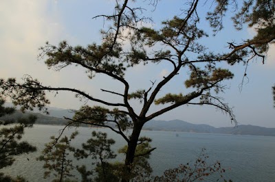 Photos of 토끼봉