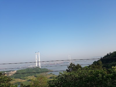 Photos of Yaosai Forest Park