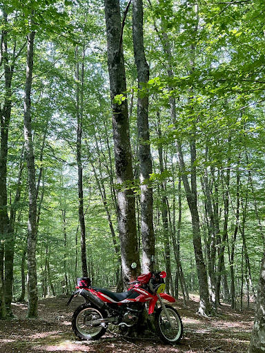 Tuoppito - Visual