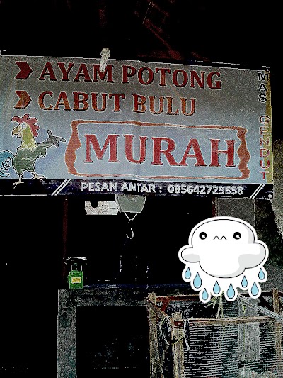 Photos of ayam potong murah