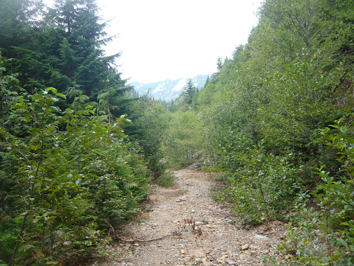 Dingford Creek Trailhead - Thumbnail