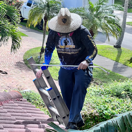 Mo's Cleaning Services - Visual