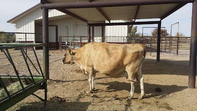 New Mexico Farm and Ranch Heritage Museum