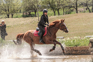 Photo n°29 de Centre Equestre Poney-Club de Vaison à Vaison-la-Romaine (Pension pour chevaux)