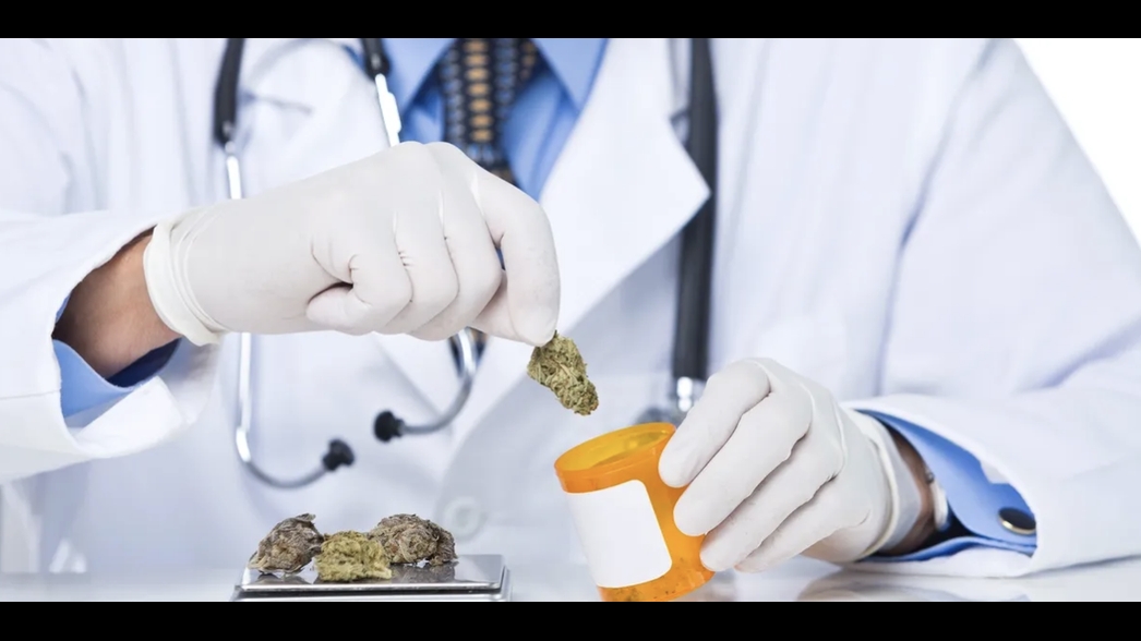 Bold Dispensary