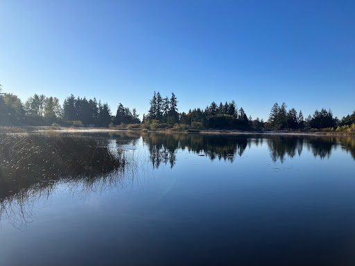 Florence Lake Road Park - Thumbnail