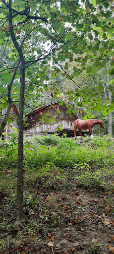 WranglerCabin.com