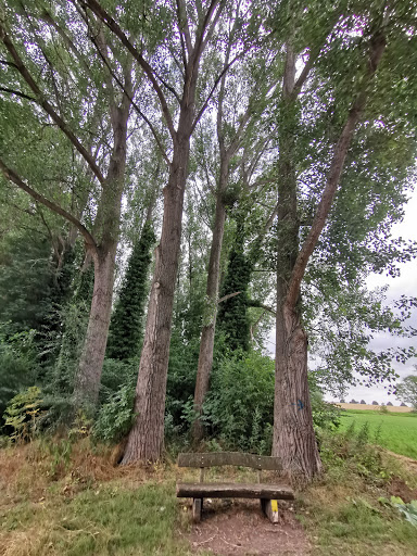 Redener Weg - Thumbnail