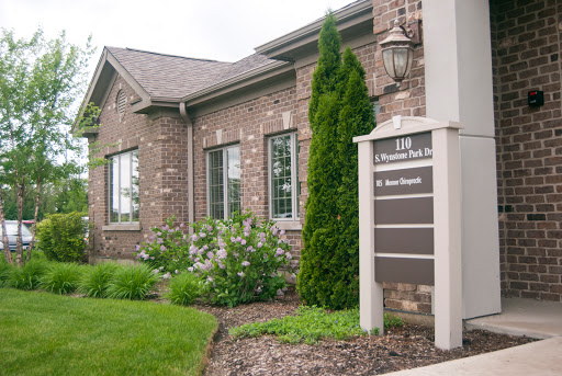 Menner Chiropractic - Visual