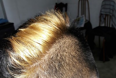 Photos of Lanka Hair Salon