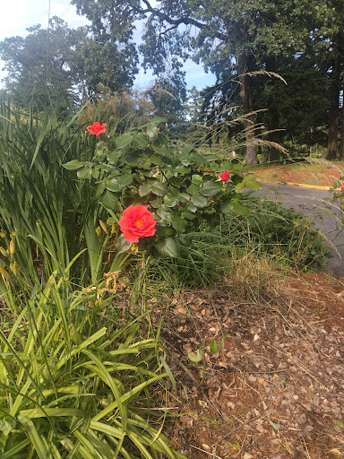Clackamas River Racquet Club Gallery - United States