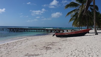 Photos of Saona Island