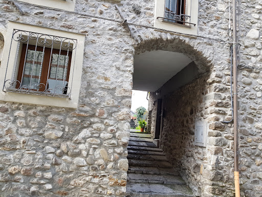 Lunidomus Di Paolo Lenzi - Thumbnail