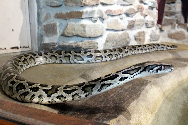 Espace Zoologique Saint-Martin la Plaine