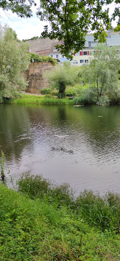 Schwanenweiher - Thumbnail