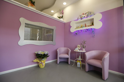 Marcella Professional Groomer Toelettatura&Spa - Thumbnail