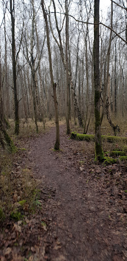 Dark Sky Park Lauwersoog