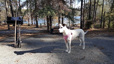 Photos of Gordonia Altamaha State Park