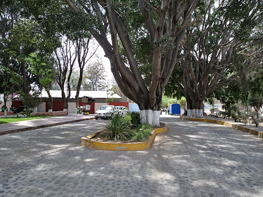 Alameda Del Marques - Thumbnail