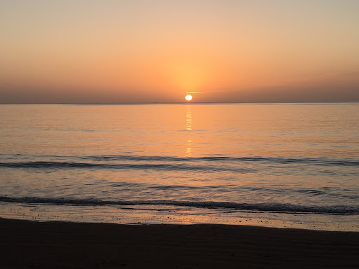 Zen Wellness (Laura's Zen Den)