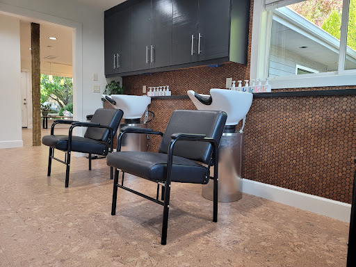 True Salon - Visual